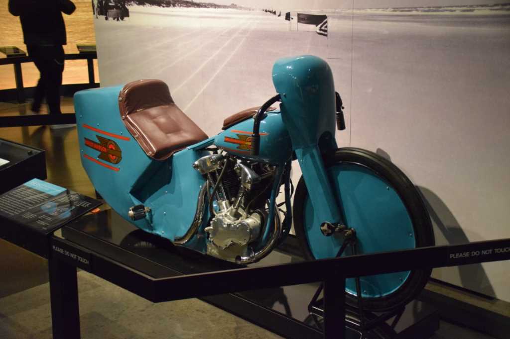 DSC_0060Mittel_.JPG